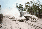 Bulldust