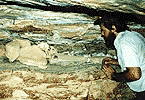 Gibb River Grave Site
