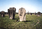 Magnetic Termite Mounds