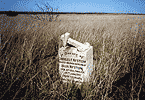 Mariner's Grave near Onslow
