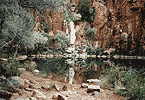 Python Pool in the Pilbara