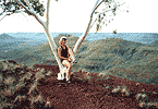 Matt Wilson Lookout