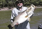 26-pound Barra