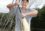 Alinta's Winning Barra