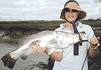 Alinta's Tommycut Creek Barra