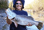 Rebecca's Barra