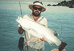 Bynoe Harbour Barra