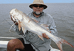 Threadfin Salmon