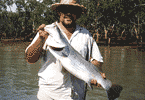 Bynoe Harbour Barra