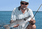 Diamond-scale Mullet