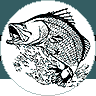 Fishing Banner