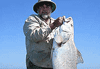 36-pound Jewie