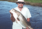 Big Magela Creek Barra