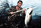 Mid-Winter Barra