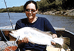 76cm Barra