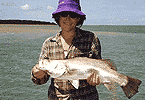 Neat Little Barra from Bynoe