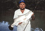 South Alligator Barra