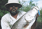 Barra on Spearhead Lure
