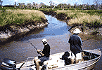 Creek-Mouth Colour-Change