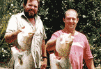 Two Big Barra