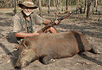 Feral hog massacre