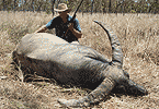 Bart's Big Bull