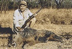 Blind Eye Boar