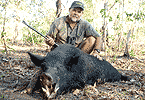 Blas� Boar