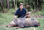 Fairy-Tale Boar