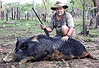 November Boar