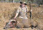 Straw Boar