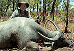 Big Barren Cow