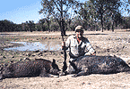 Double Header Hogs