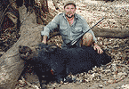 'Lost Valley' Boar