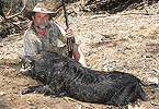 Hodgson Boar