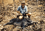 Marathon Boar