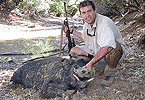 Marty's Monster Hog