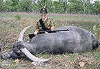 Nikki's Buffalo