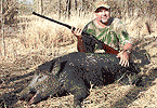 Tolley Boar