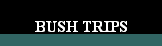 go to BUSH TRIPS Page