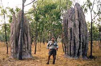 Hunter image